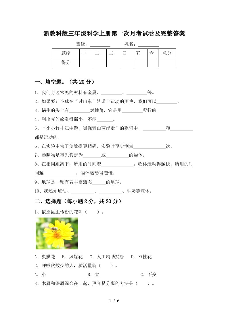 新教科版三年级科学上册第一次月考试卷及完整答案