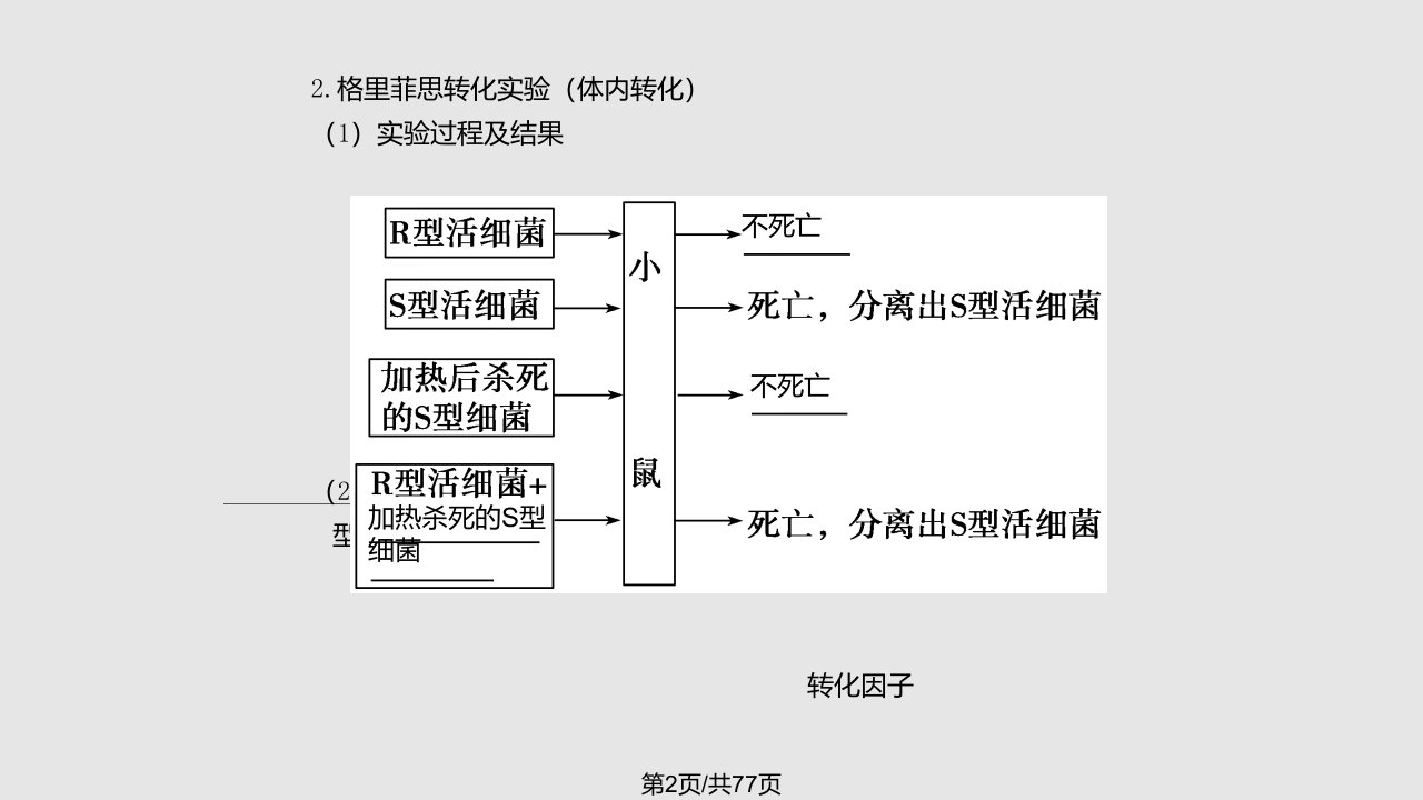 时DNA是主要的遗传物质