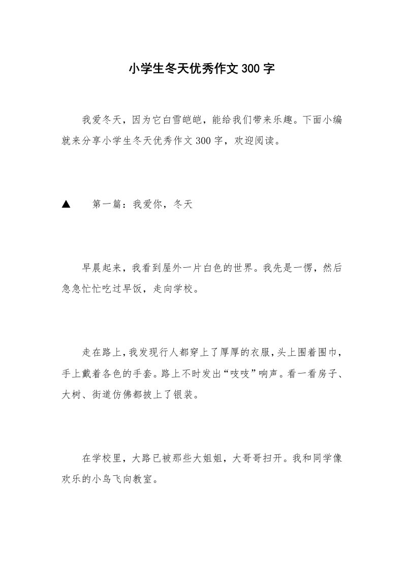 小学生冬天优秀作文300字