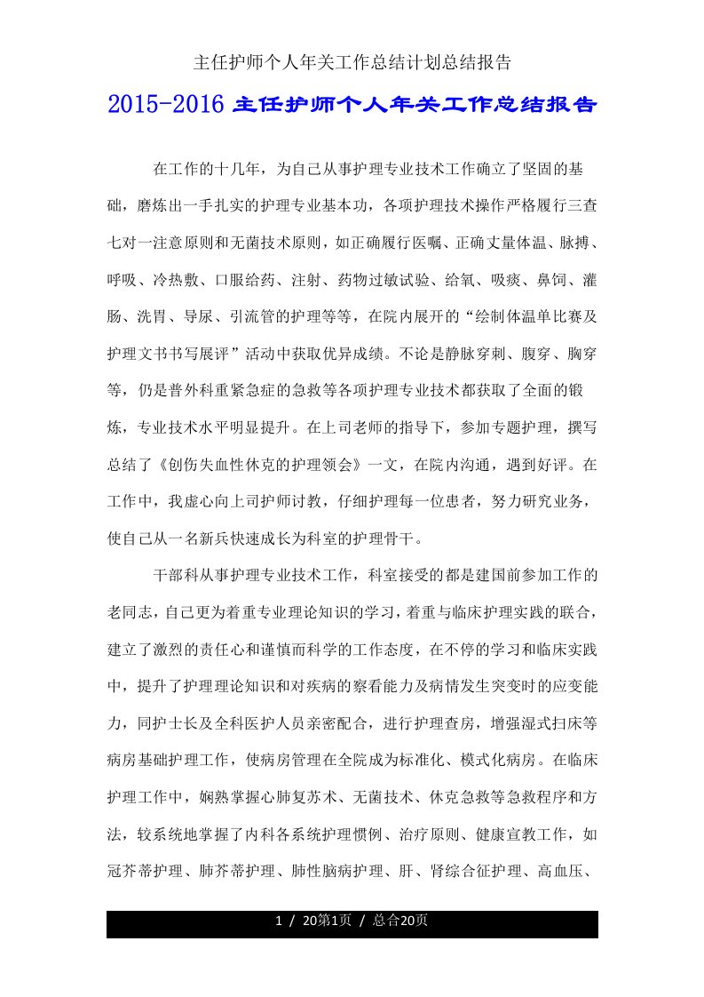 主任护师个人年终工作计划总结报告