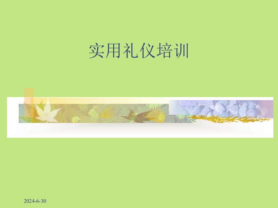 《实用礼仪培训》PPT课件