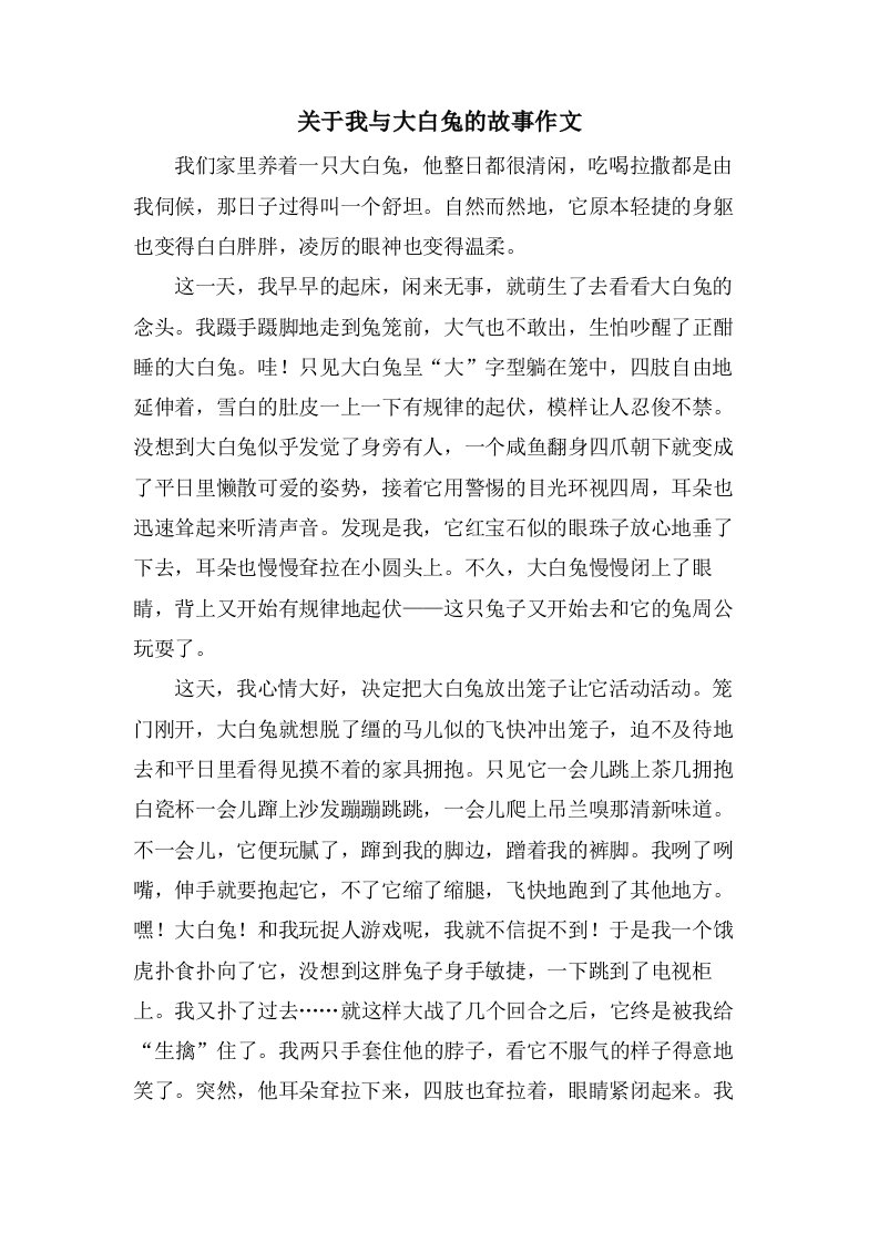 关于我与大白兔的故事作文