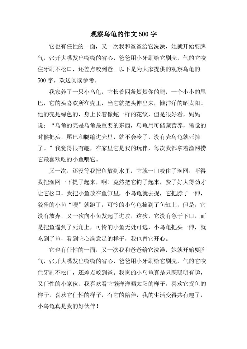 观察乌龟的作文500字