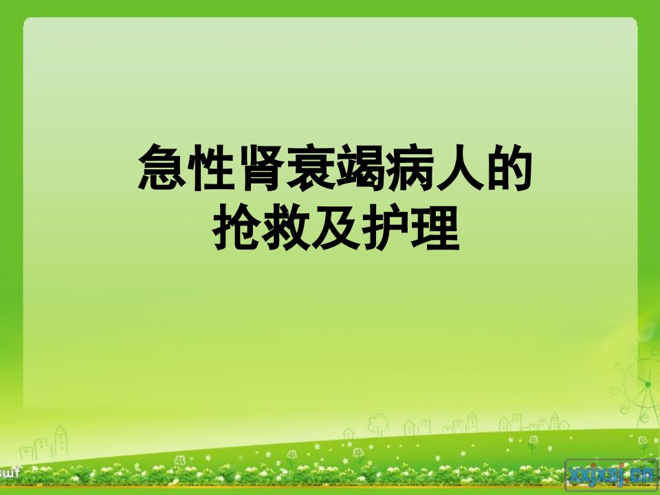 急性肾衰竭病人的抢救护理幻灯片