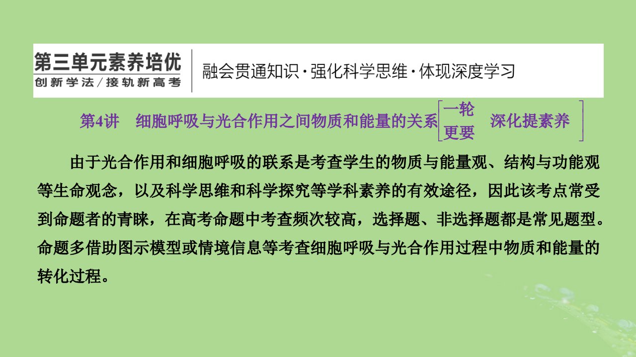 新课标2023版高考生物一轮总复习第三单元细胞的能量供应和利用第4讲细胞呼吸与光合作用之间物质和能量的关系课件