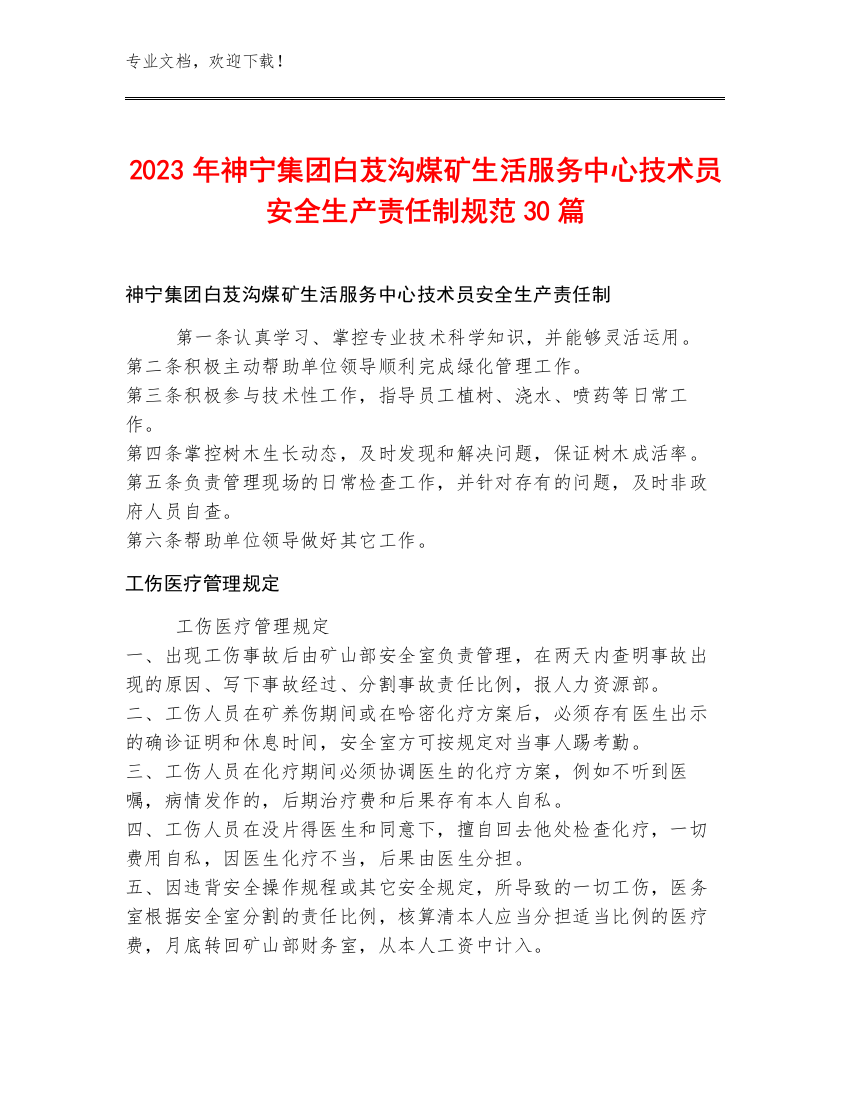 2023年神宁集团白芨沟煤矿生活服务中心技术员安全生产责任制规范30篇