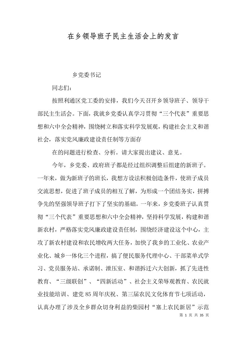 在乡领导班子民主生活会上的发言（一）