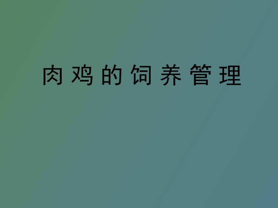 肉鸡的饲养管理技术