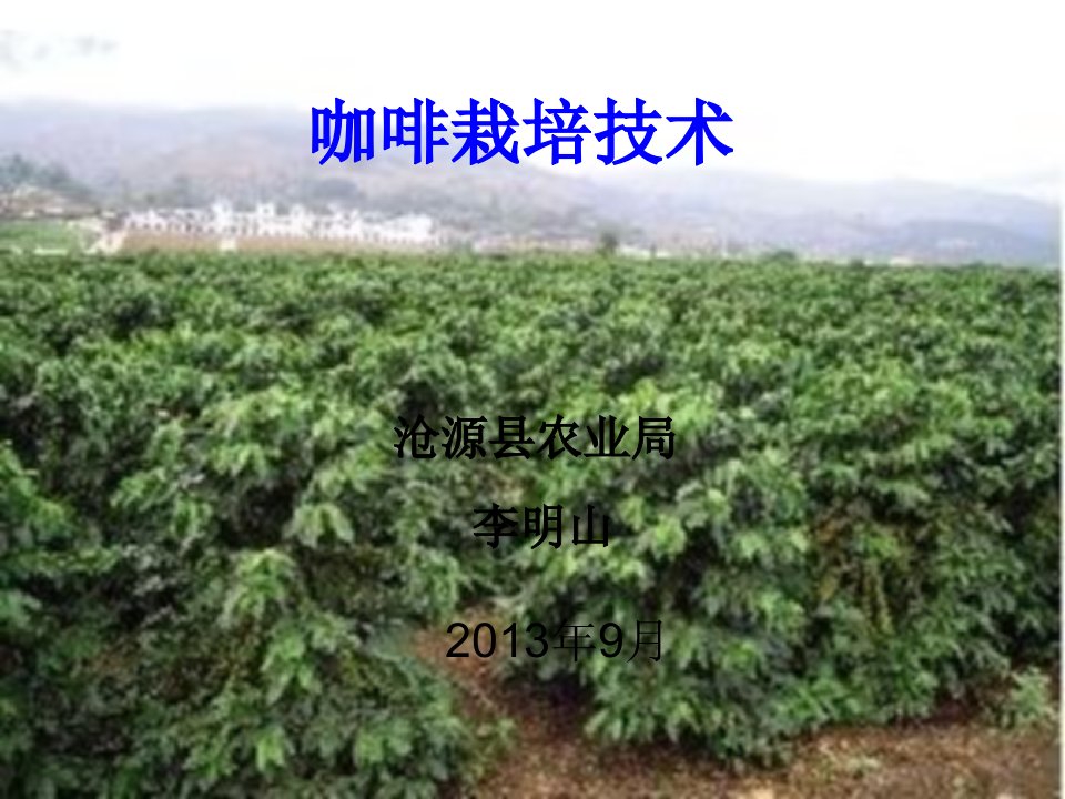 《咖啡栽培技术》PPT课件