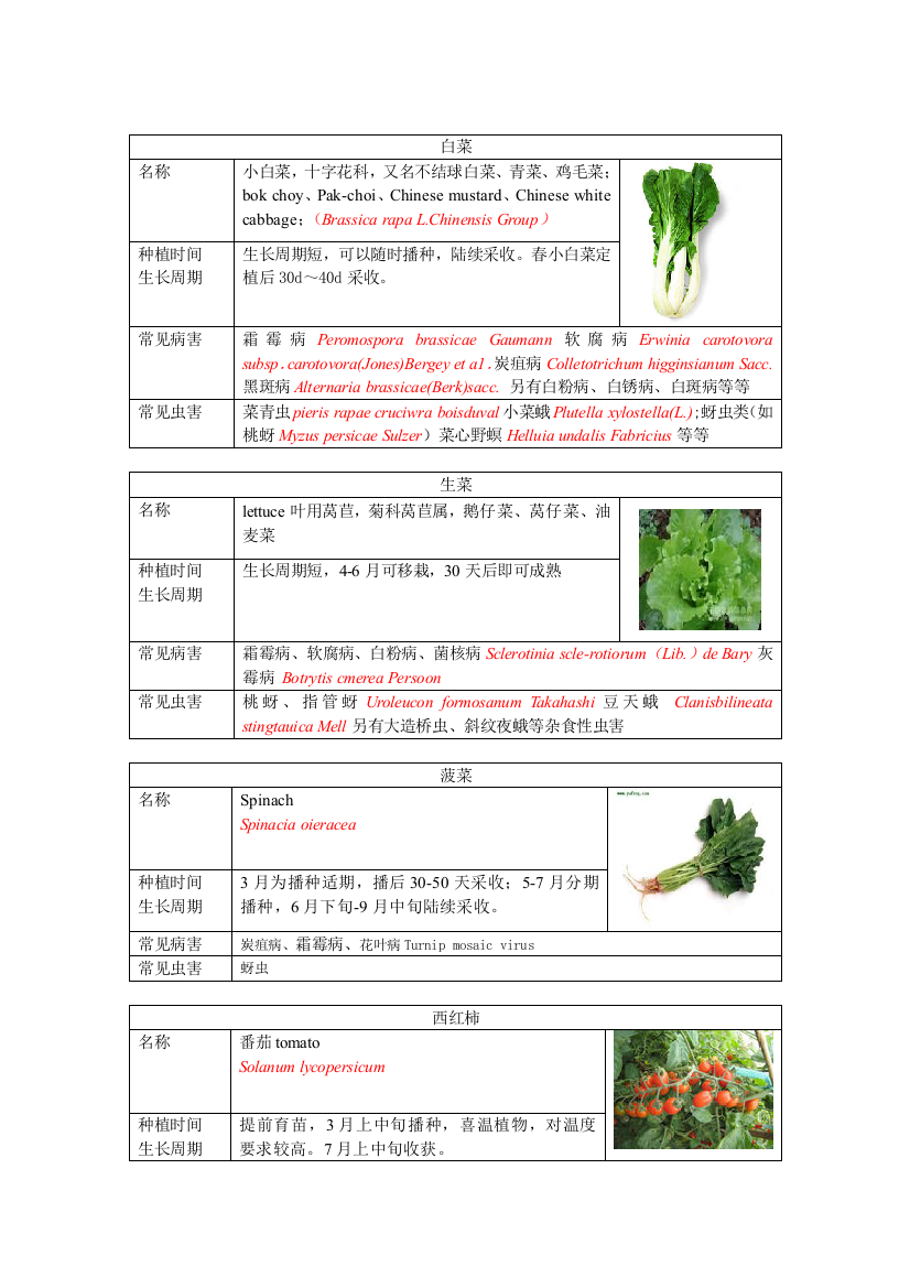 六种常见蔬菜常见虫害及种植时间整理