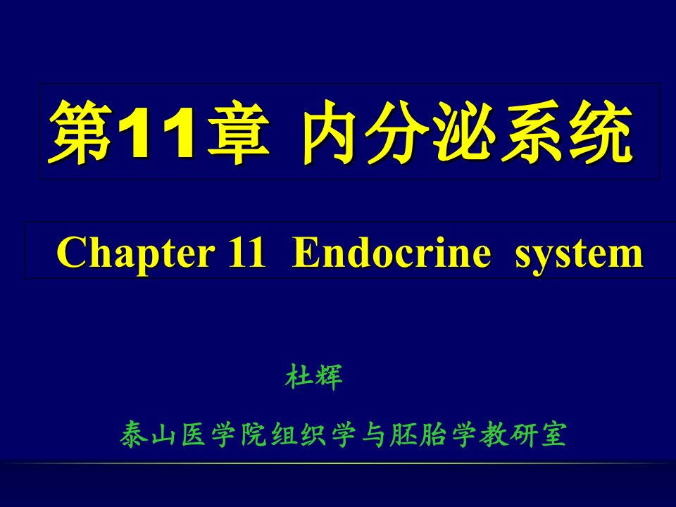 组织学与胚胎学内分泌