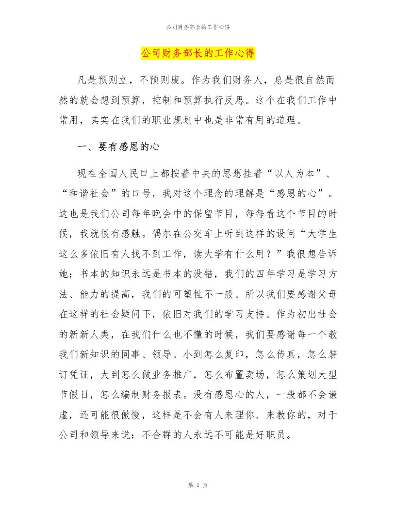 公司财务部长的工作心得