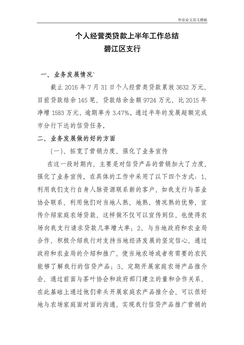 个人经营类贷款上半年工作总结碧江区支行