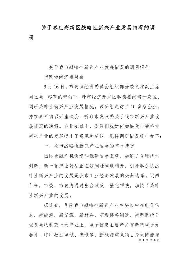 关于枣庄高新区战略性新兴产业发展情况的调研十