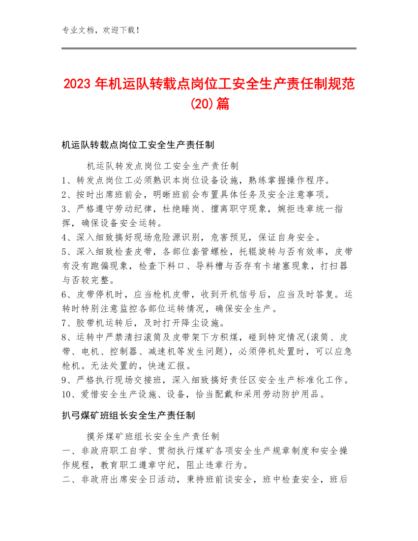 2023年机运队转载点岗位工安全生产责任制规范(20)篇