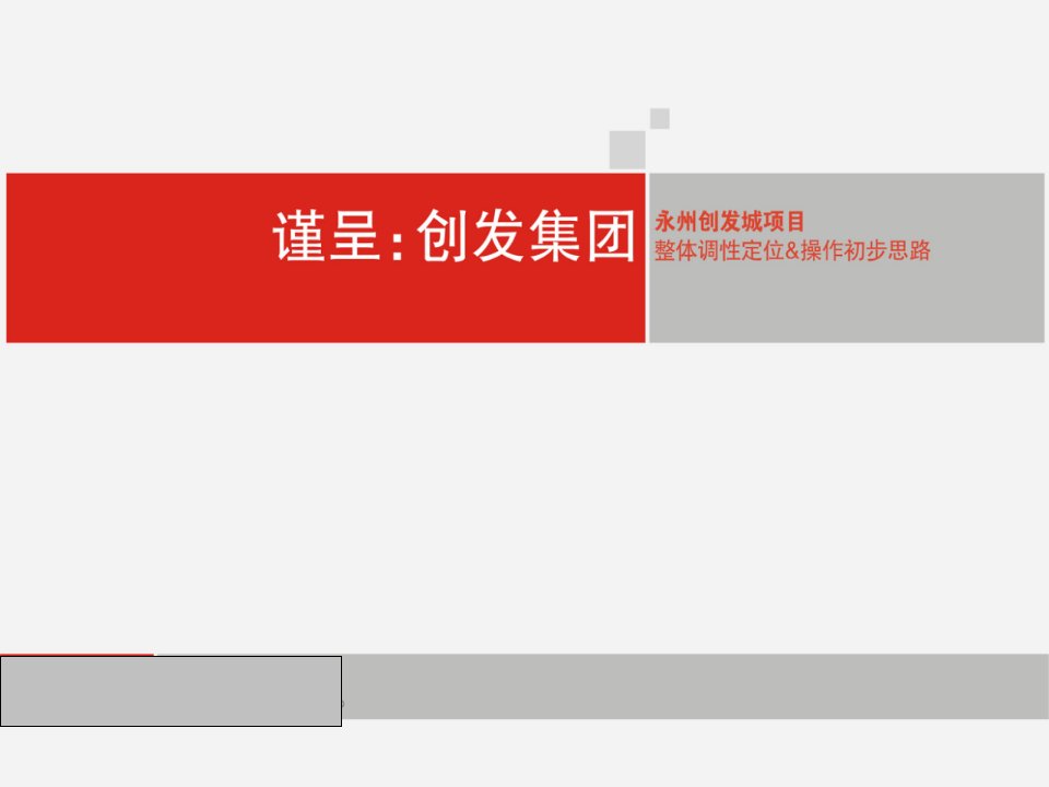 永州创发城项目整体调性定位操作初步思路39P