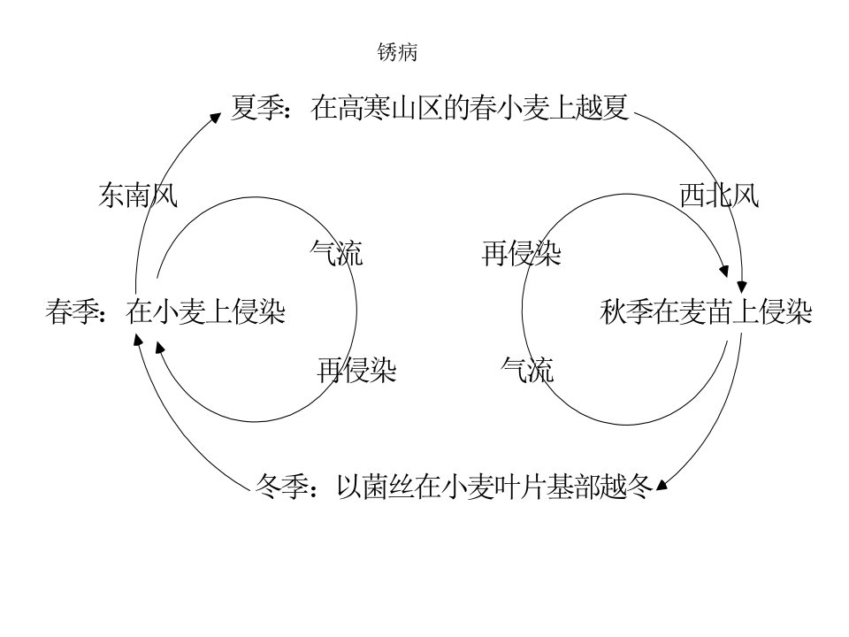 病虫害侵染循环