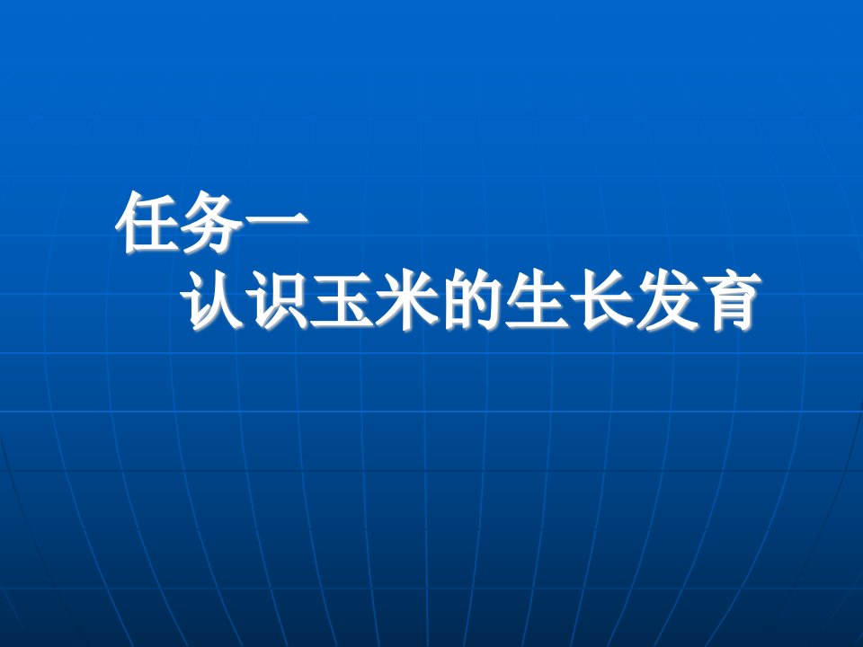 认识玉米的生长发育