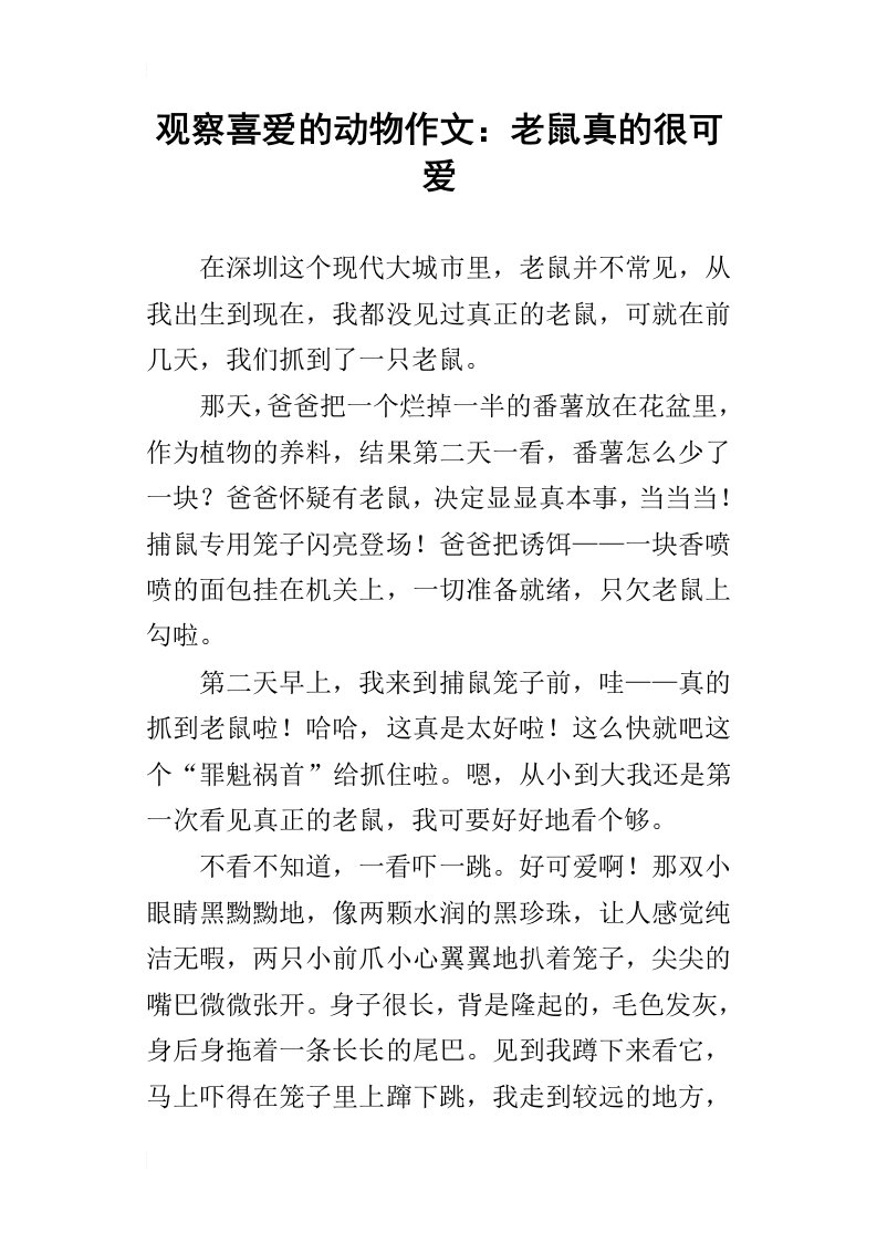 观察喜爱的动物作文：老鼠真的很可爱