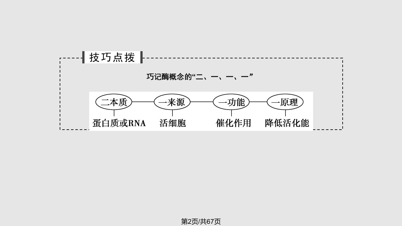 酶的本质特性及相关实验探究