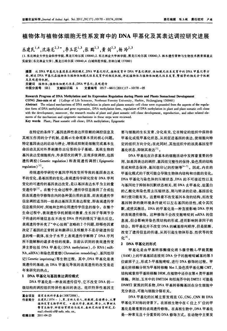 植物体与植物体细胞无性系发育中的DNA甲基化及其表达调控研究进展