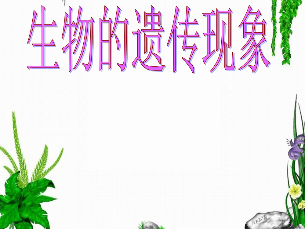 生物的遗传现象