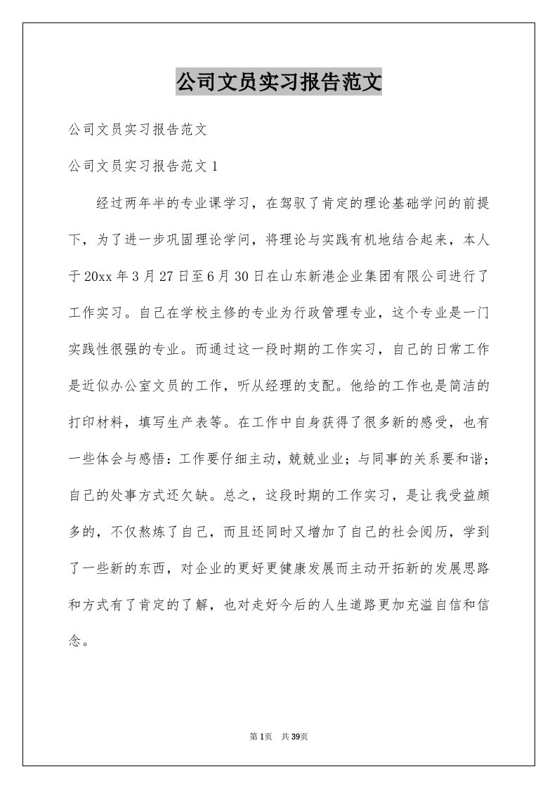 公司文员实习报告范文例文