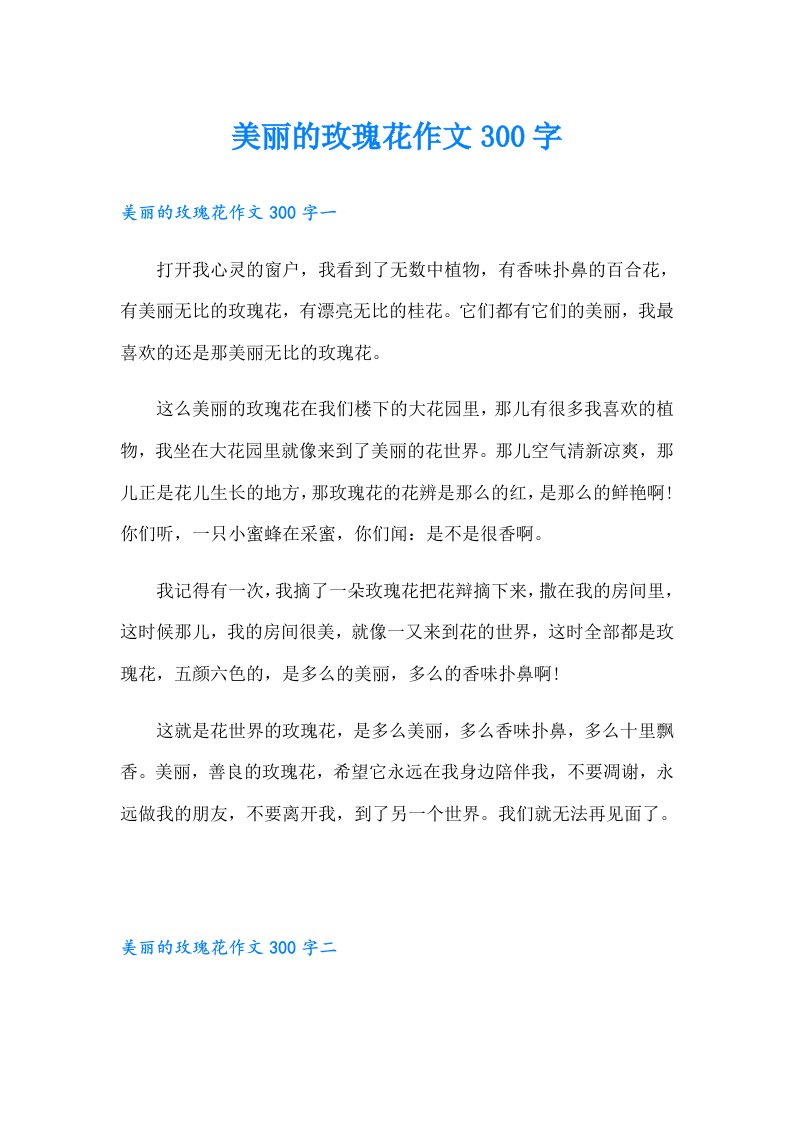 美丽的玫瑰花作文300字