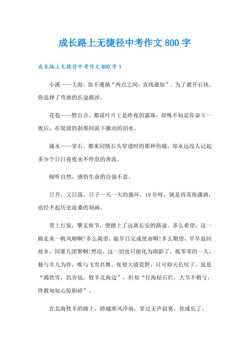 成长路上无捷径中考作文800字