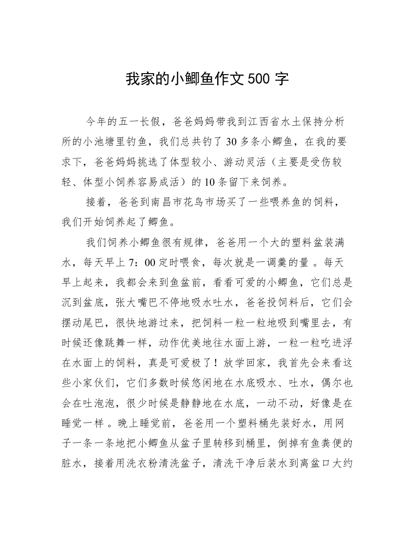 我家的小鲫鱼作文500字