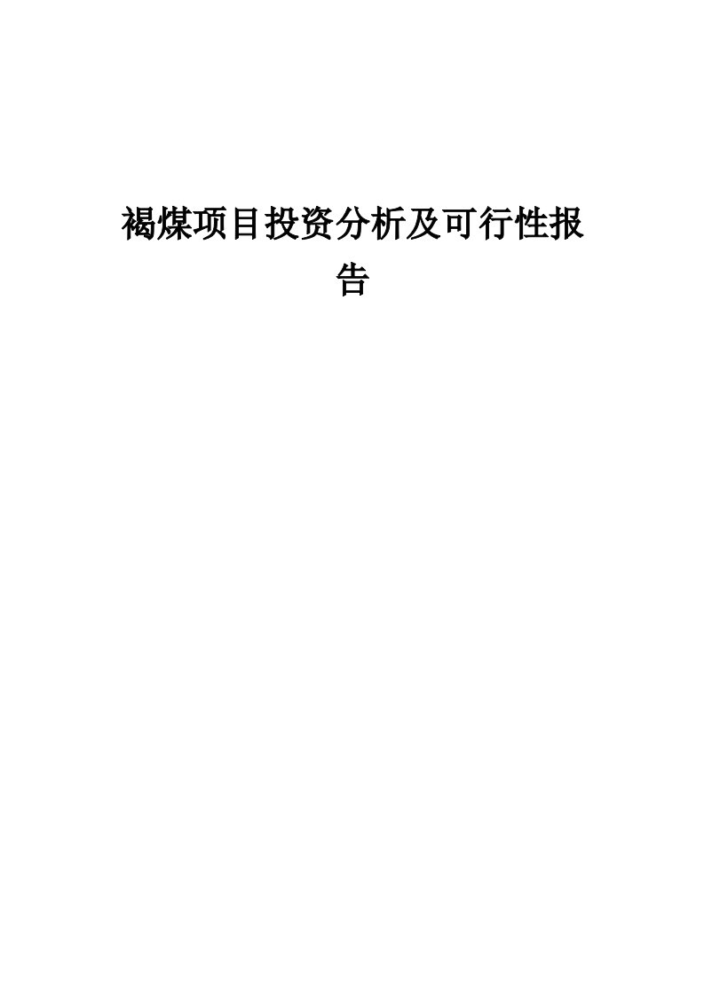 2024年褐煤项目投资分析及可行性报告