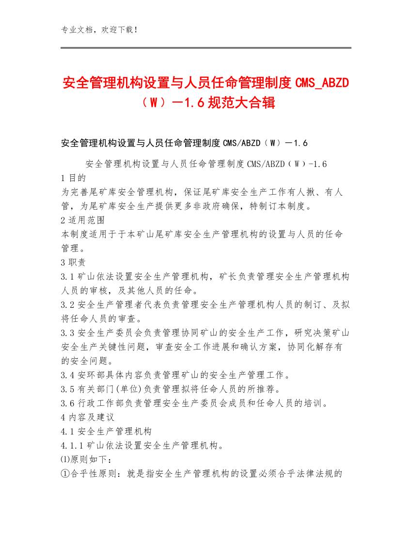 安全管理机构设置与人员任命管理制度CMS_ABZD﹙W﹚－1.6规范大合辑