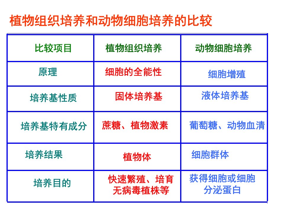 细胞工程复习课课件