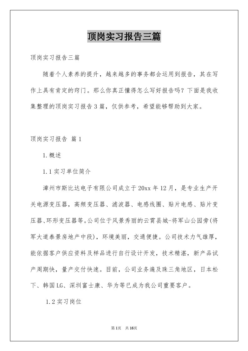 顶岗实习报告三篇例文2