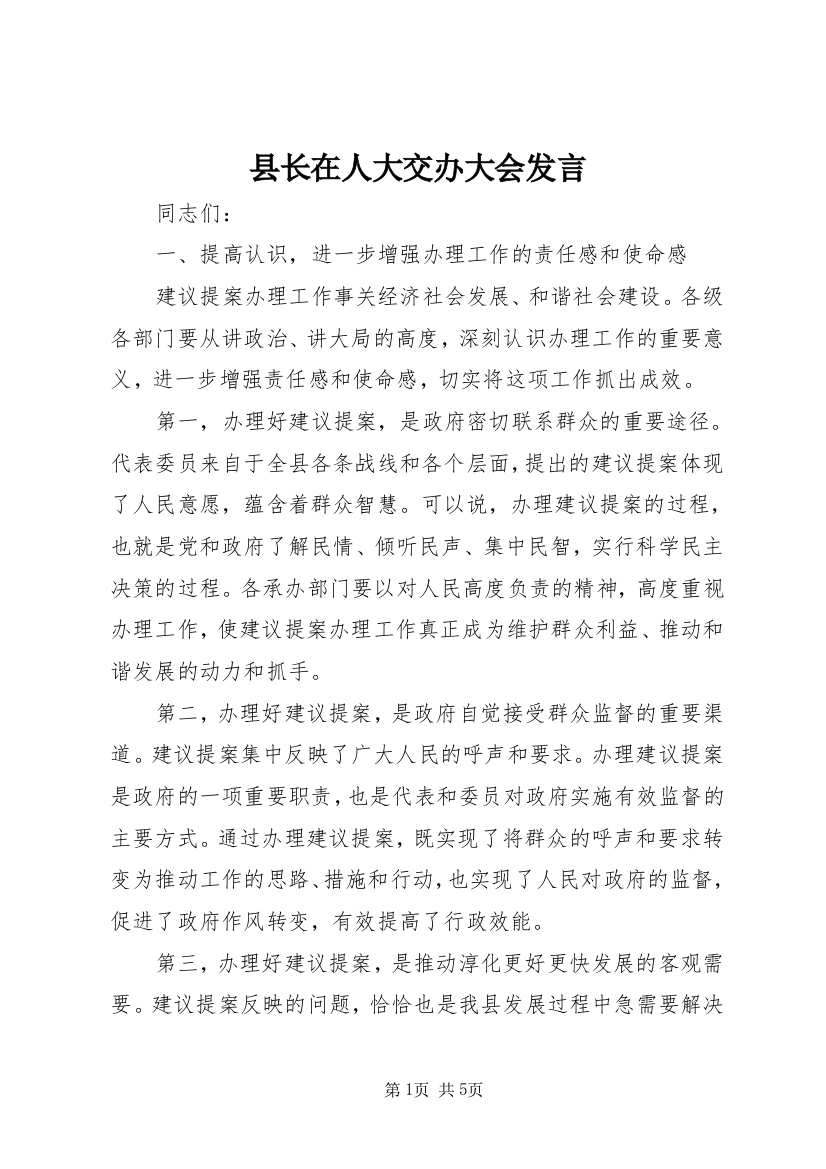 县长在人大交办大会发言