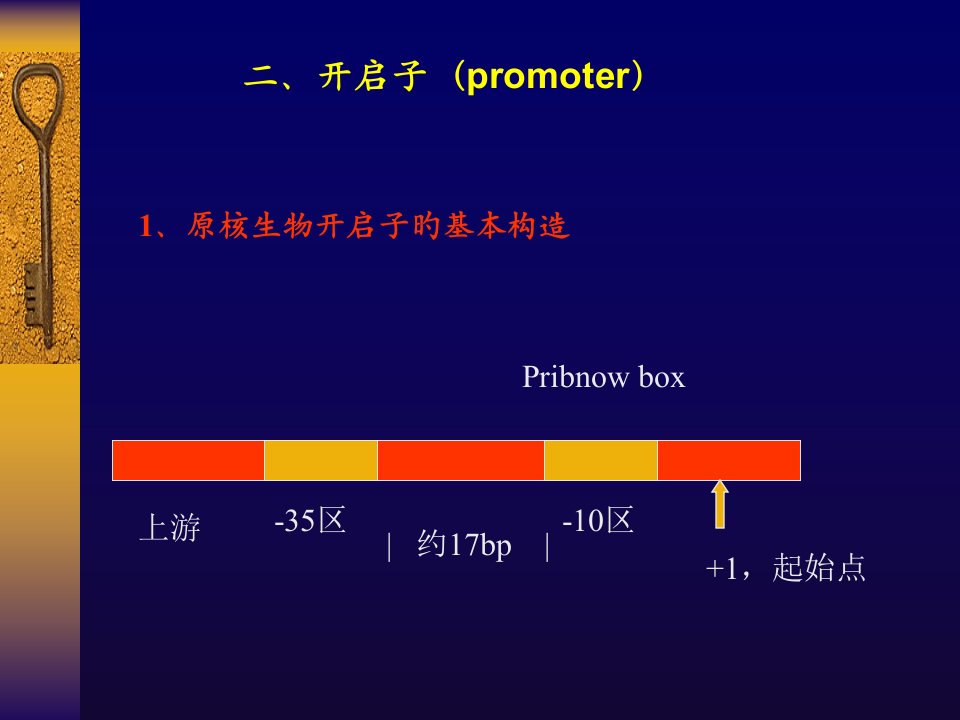 分子生物学讲座公开课获奖课件省赛课一等奖课件