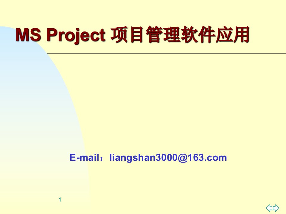 Project98项目管理方法