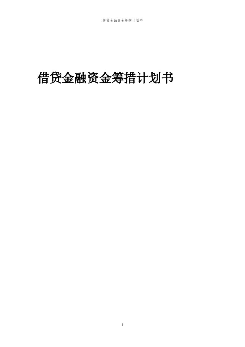 2024年借贷金融项目资金筹措计划书代可行性研究报告