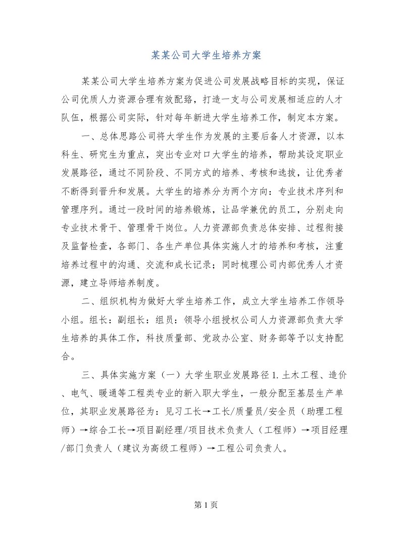 某某公司大学生培养方案