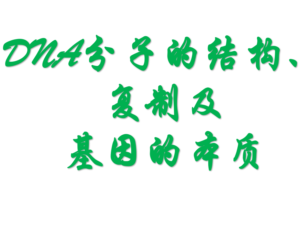 DNA分子的结构、复制及基因的本质