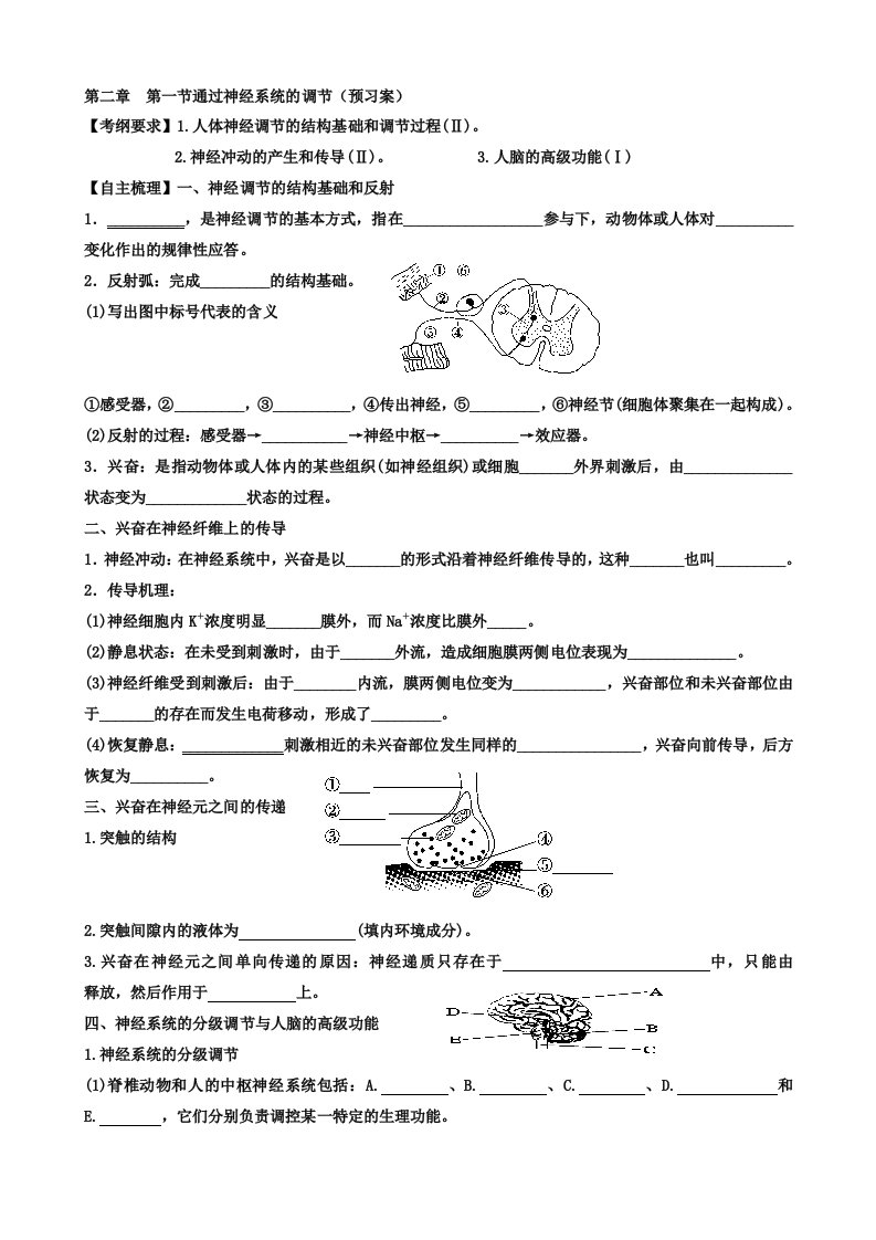 通过神经系统的调节一轮复习学案