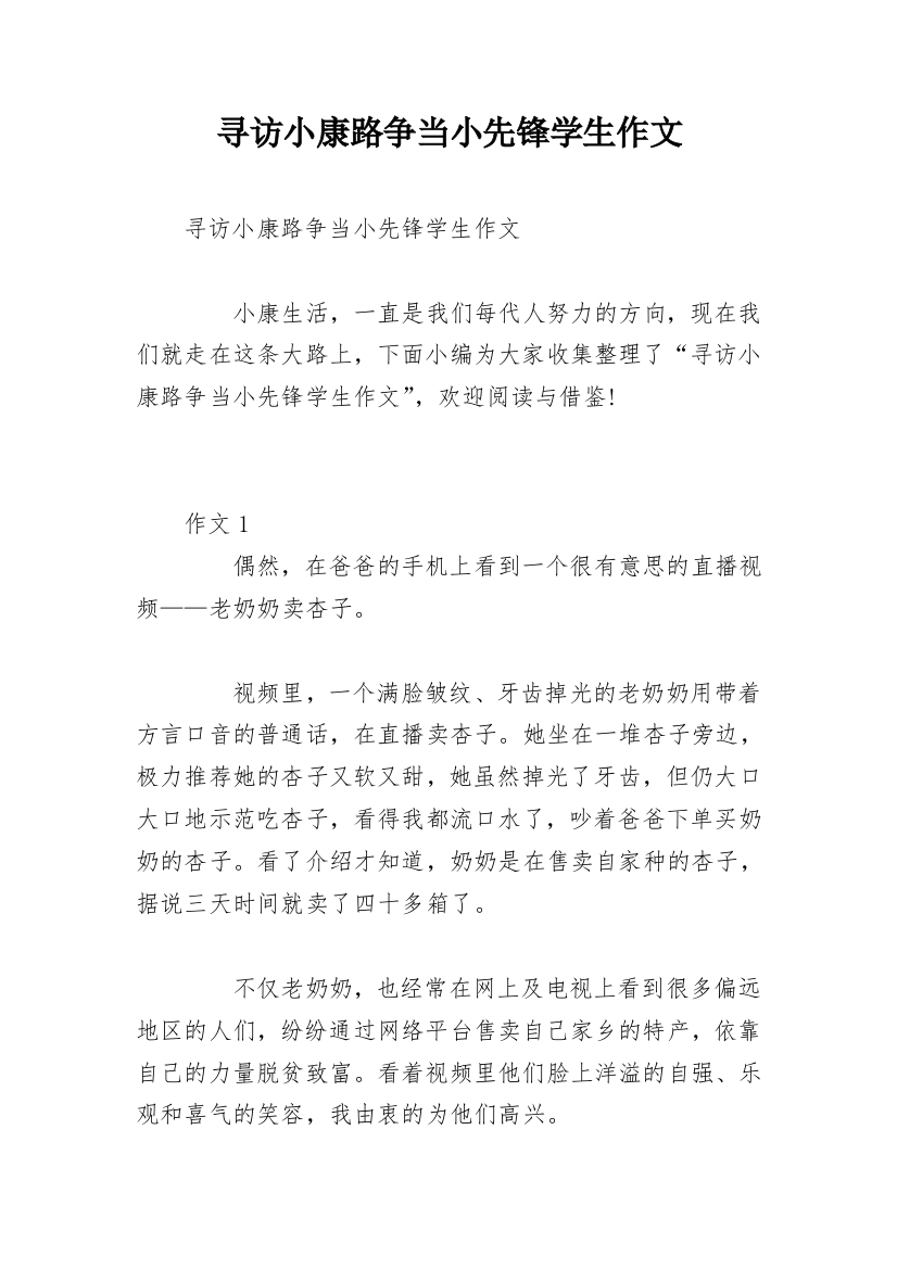 寻访小康路争当小先锋学生作文