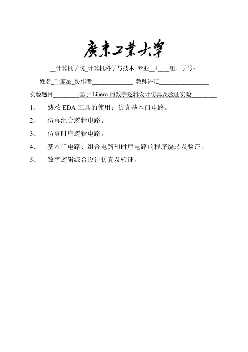 基于Libero的数字逻辑设计仿真及验证实验实验报告