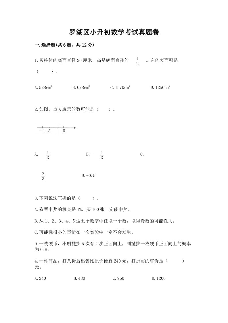 罗湖区小升初数学考试真题卷新版