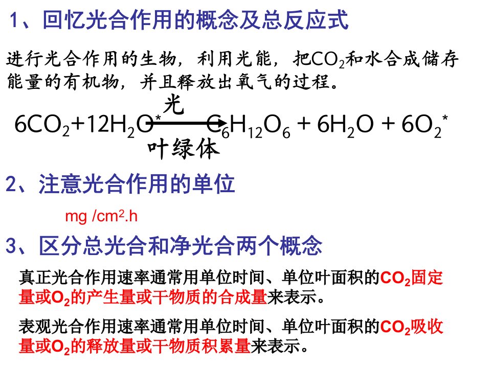 生态系统的生产量和生物量