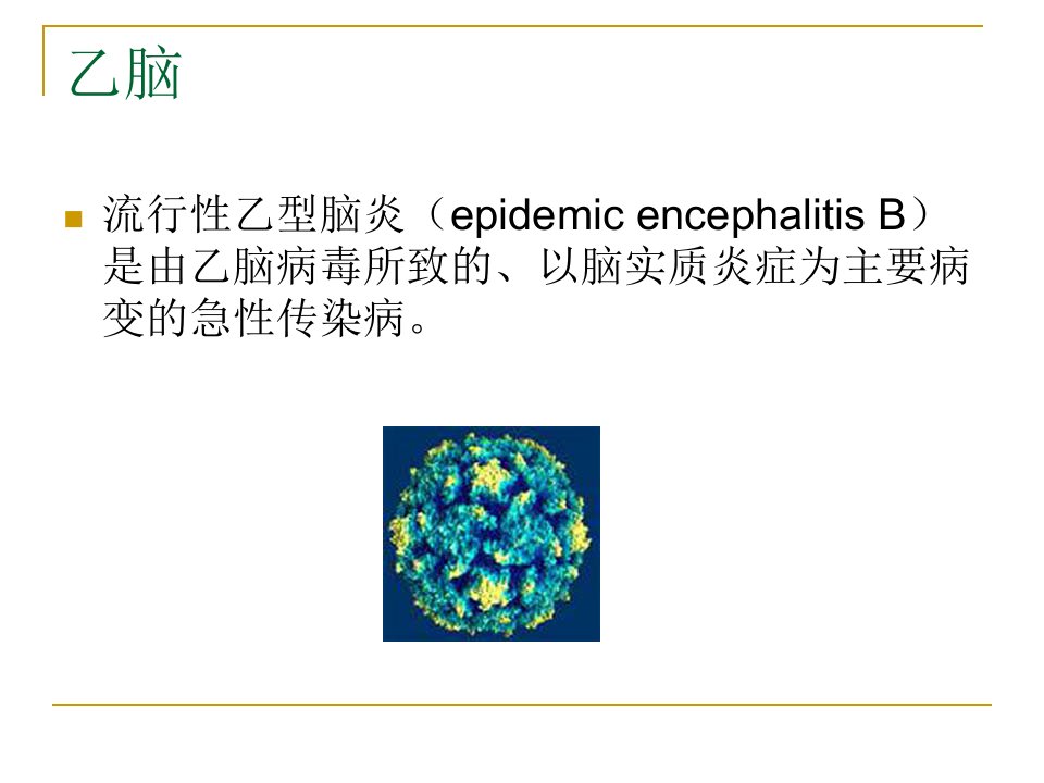 医学专题乙脑和流脑