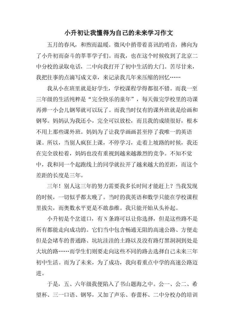 小升初让我懂得为自己的未来学习作文