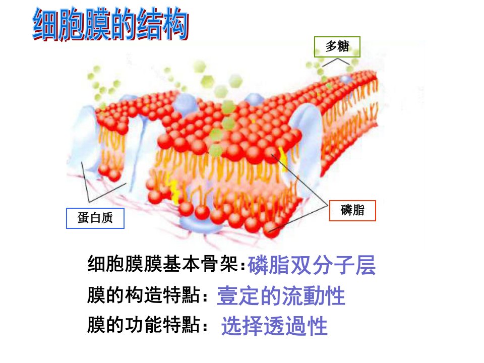 物质跨膜运输的方式课件市公开课一等奖百校联赛获奖课件