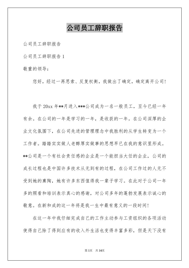 公司员工辞职报告例文6