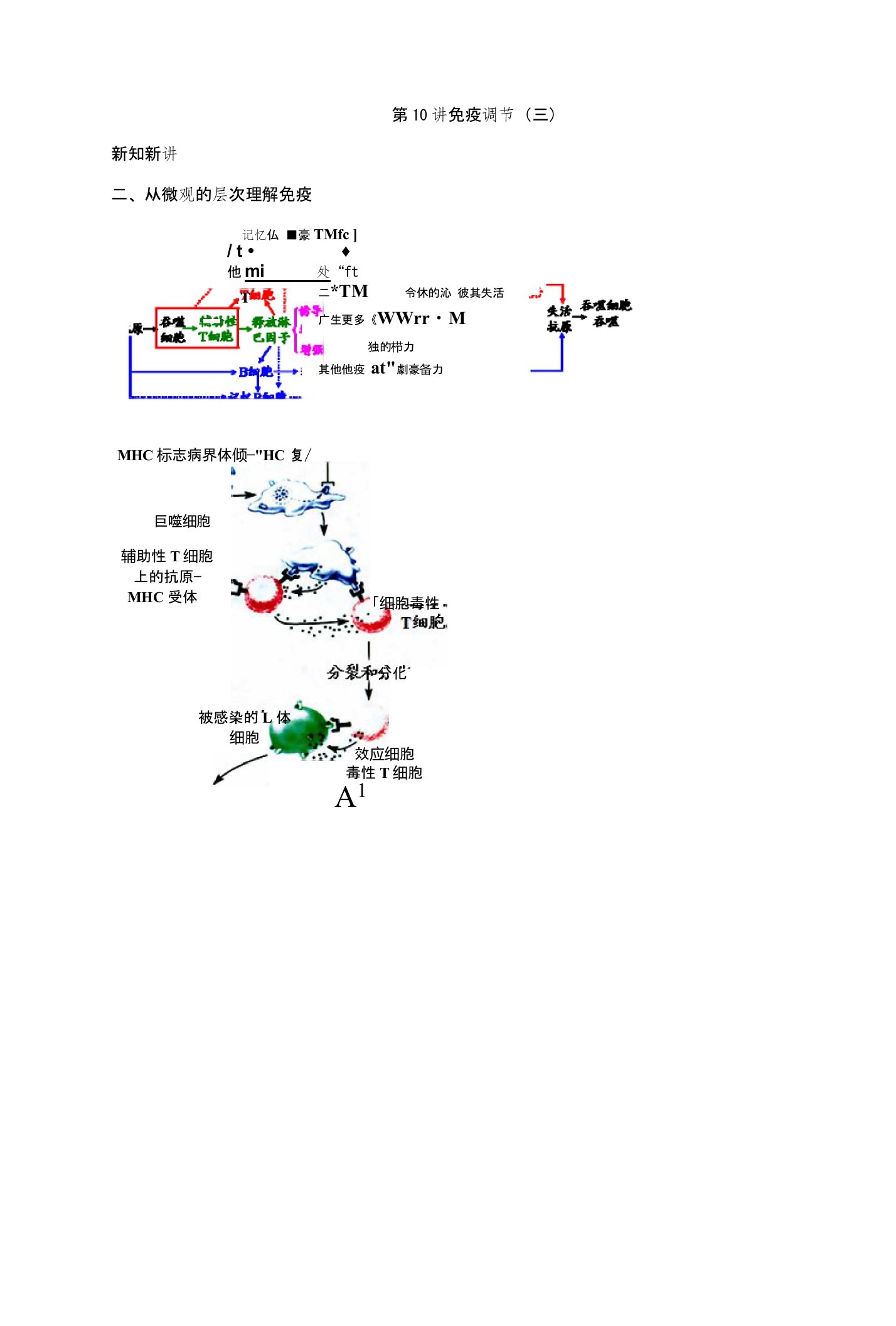 江苏省大丰市小海中学高二生物必修三同步课程讲义：第10讲免疫调节三